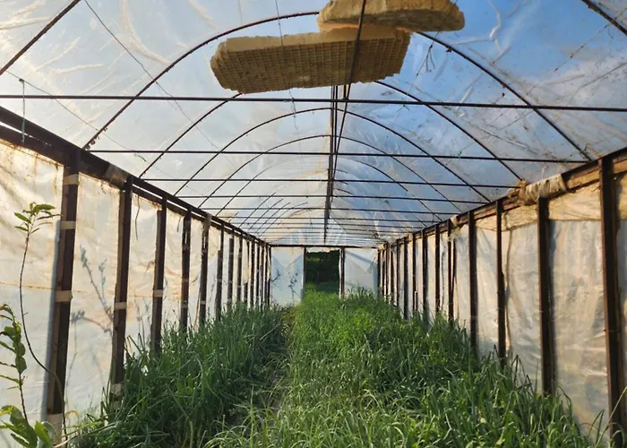 Gasthuis Agroturizem Devin