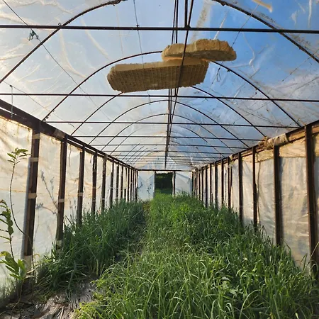 Gasthuis Agroturizem Devin
