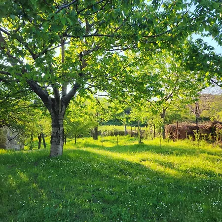 Agroturizem Devin Affittacamere